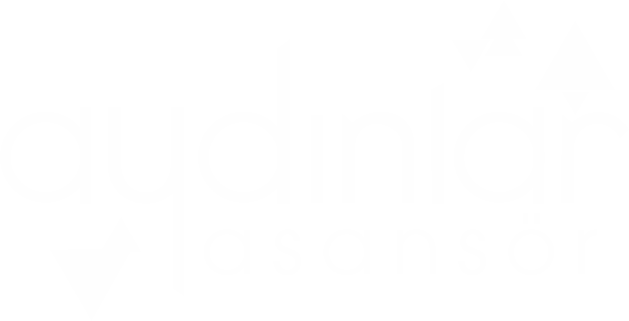 Aydınlar Asansör